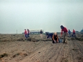 Photo0090_ko
